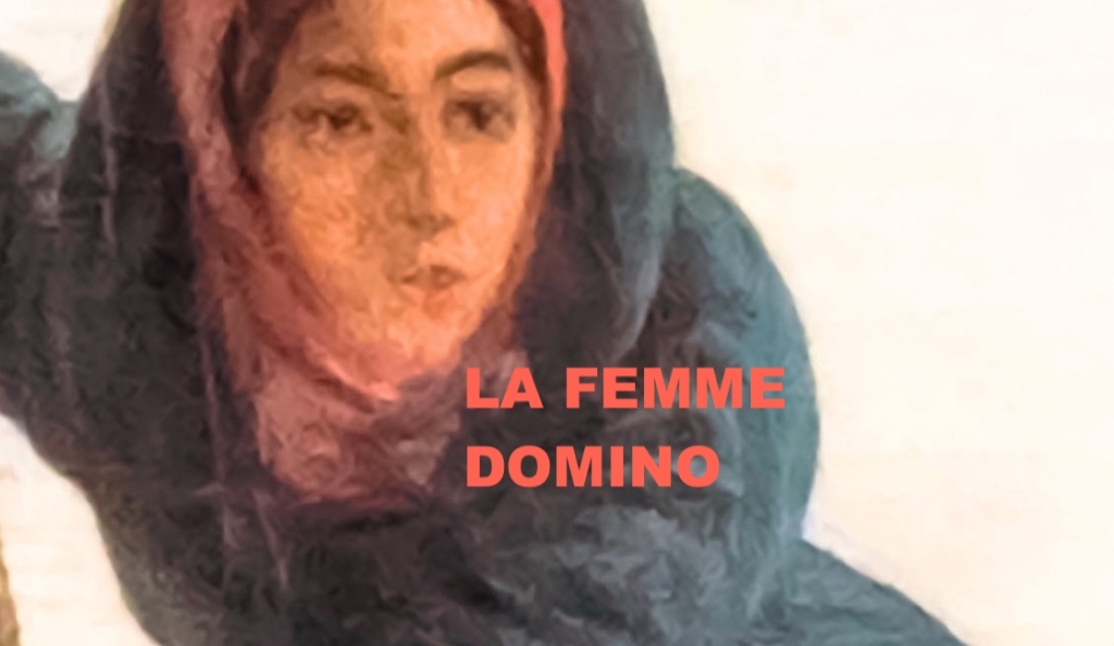 La femme domino (roman)
